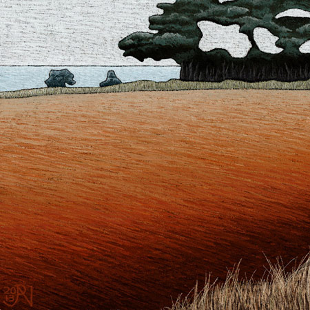 West of Wynyard, Tasmania #6